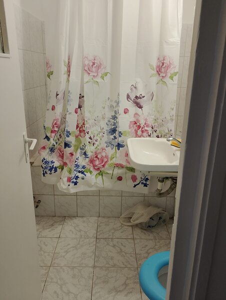 Lacul Tei, langa Lidl vav Parcul Circului,